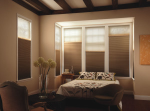 Dual Cellular Shade Blinds Adelaide